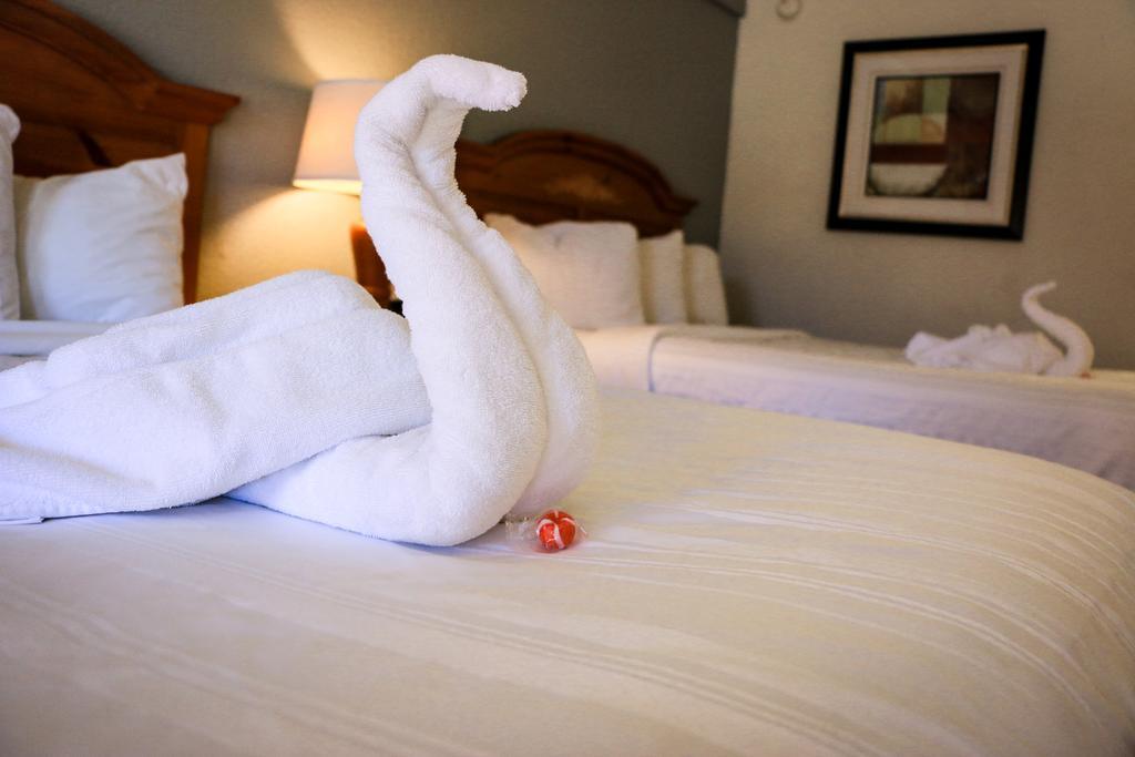Suite Dreams Hotel Mattoon Экстерьер фото